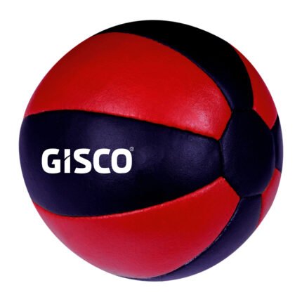 Buy Medicine Ball - Colored Leather Online Affordable Price