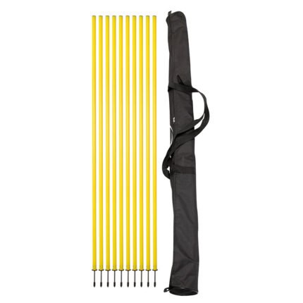 Slalom Pole – Basic – Improve Your Technique.