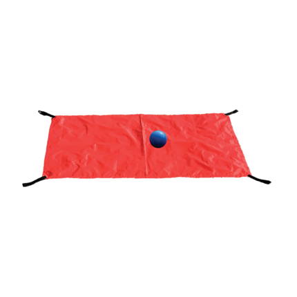 Two Person Parachute