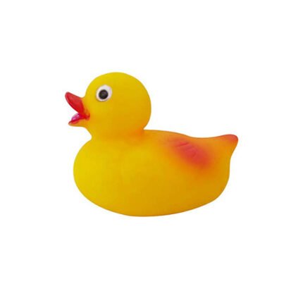 Floating Squeaky Ducks