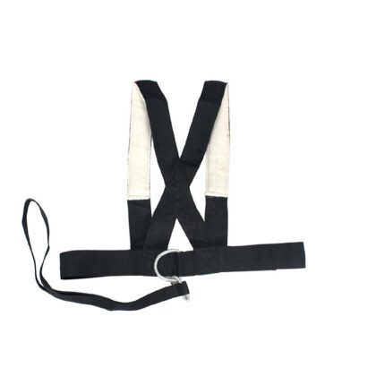 Power Speed Resistor