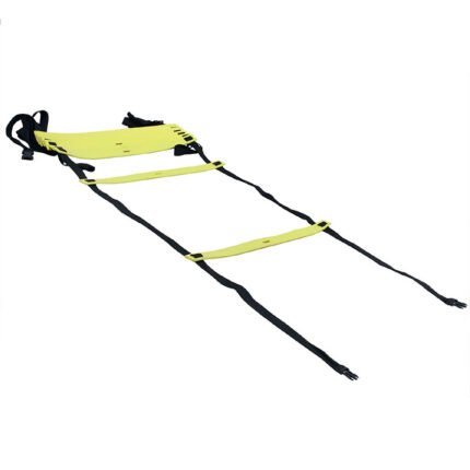 Anti Skid Ladder