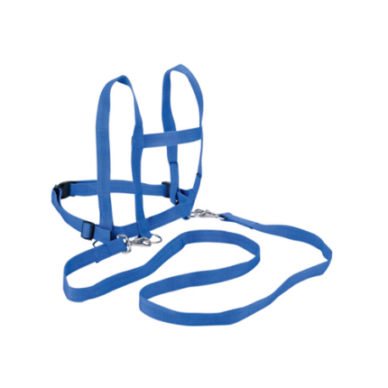 Horse Belt