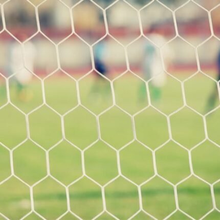 Soccer Nets – Hexagon